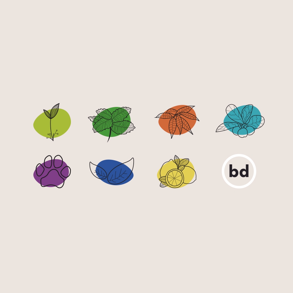 bïdi - bïdi - Live bïdi | SPICE