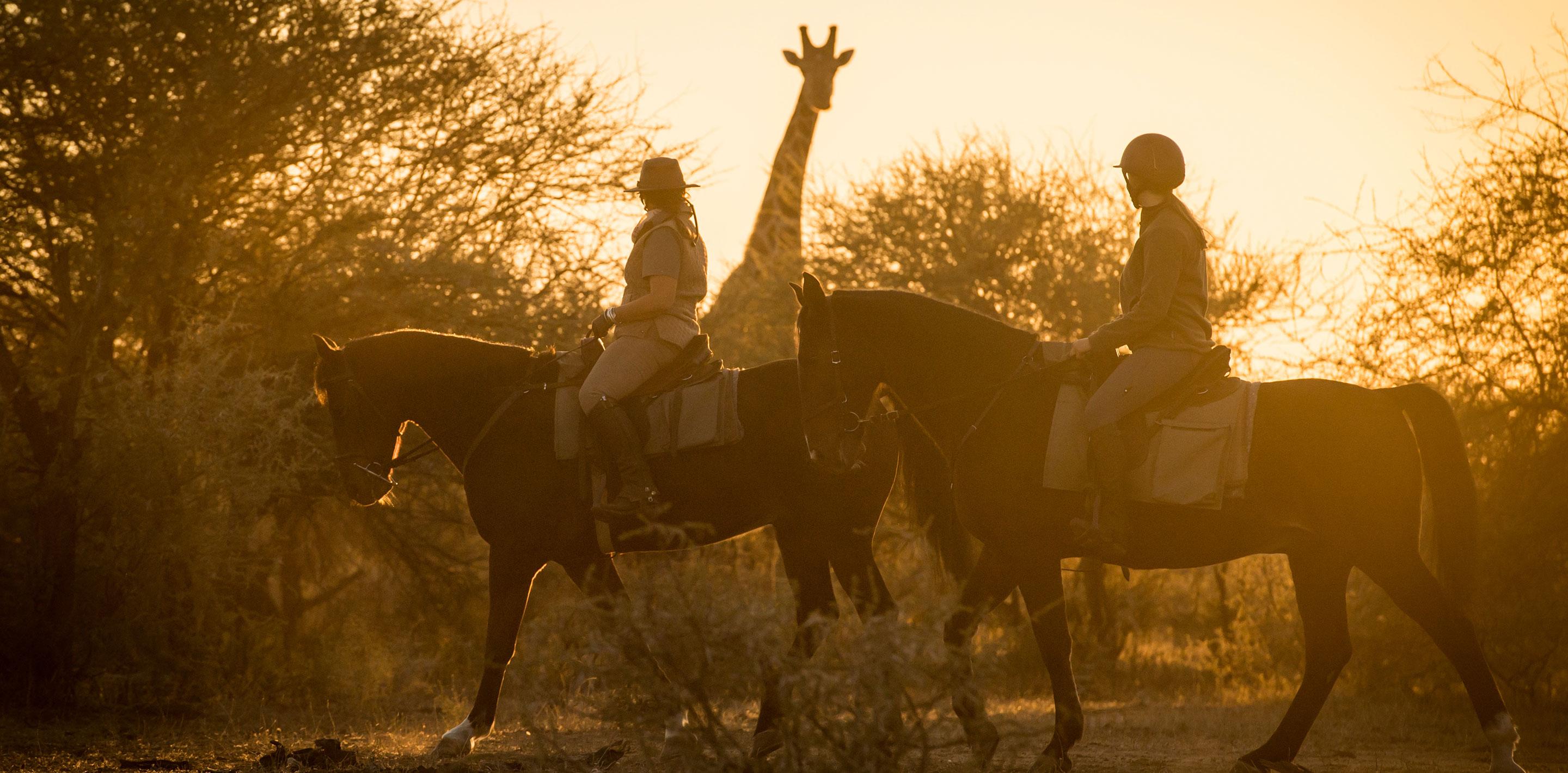 Africa Horse Tours - Africa Horse Tours - Best all-inclusive horseback safaris in Africa | SPICE