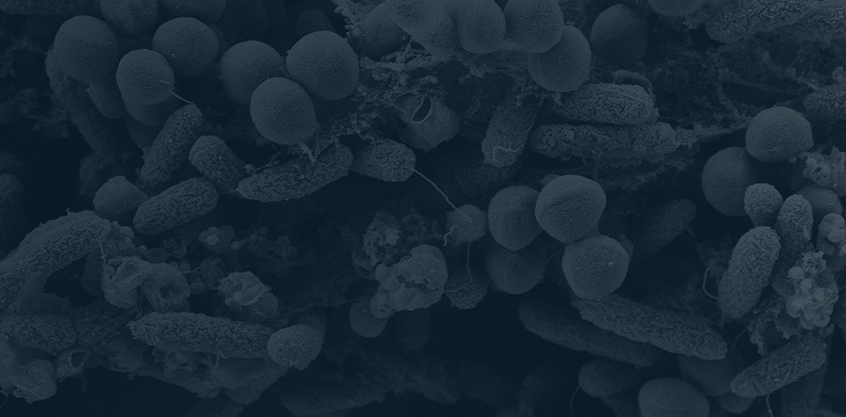 Untech - Untech - A multi-prized drug development startup | SPICE